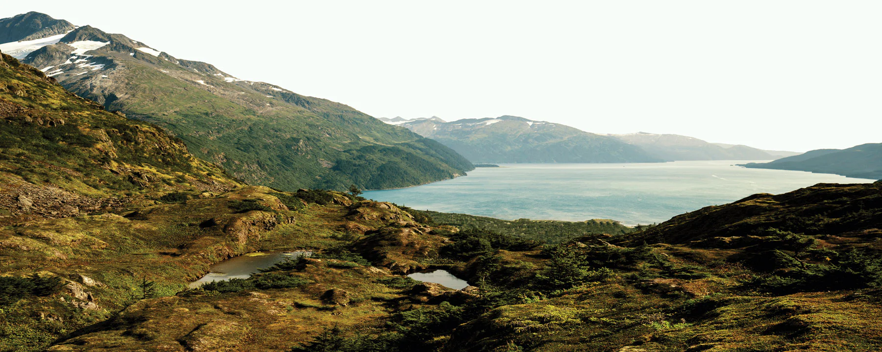 Alaska - Image 4