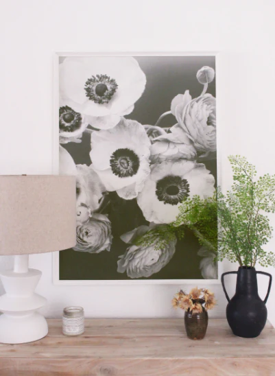 Anemone - Image 2