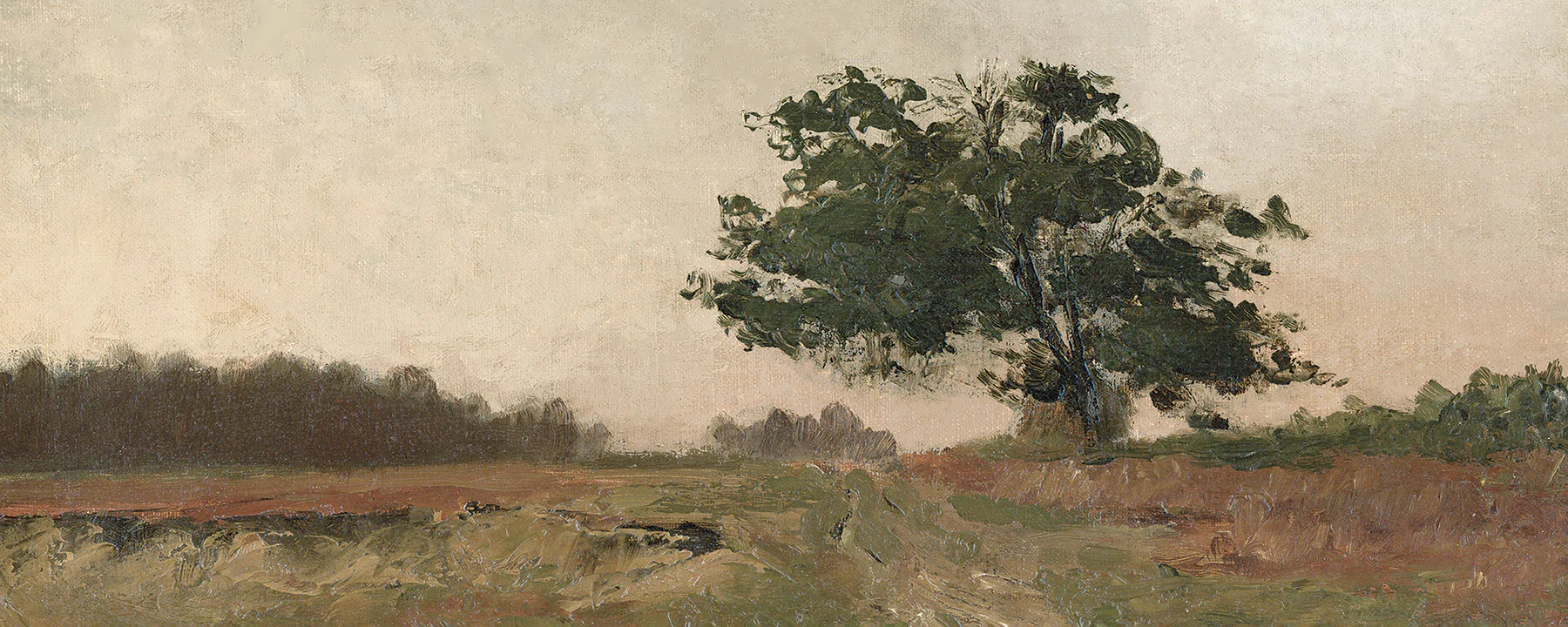 Backroad - Image 2