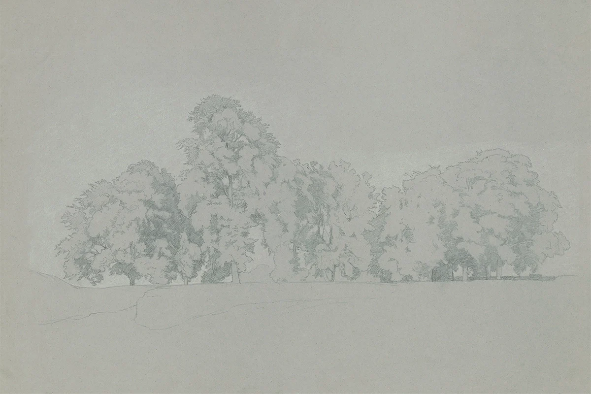 Blue Grove