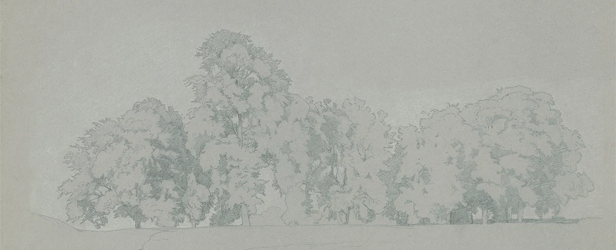 Blue Grove - Image 2