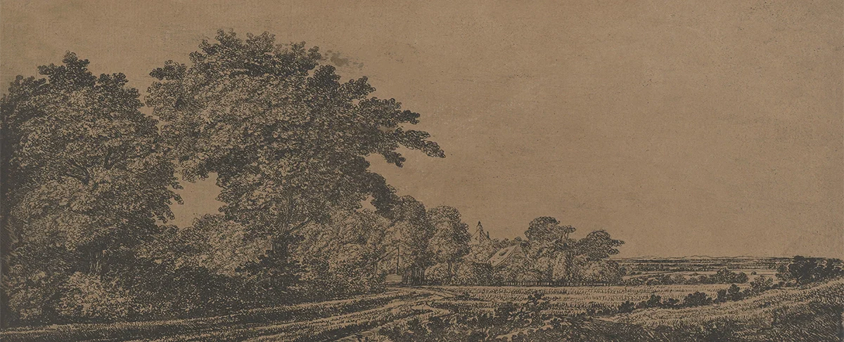 Bronze Field - Image 2
