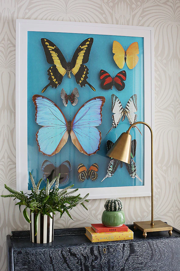 Butterflies - Image 3