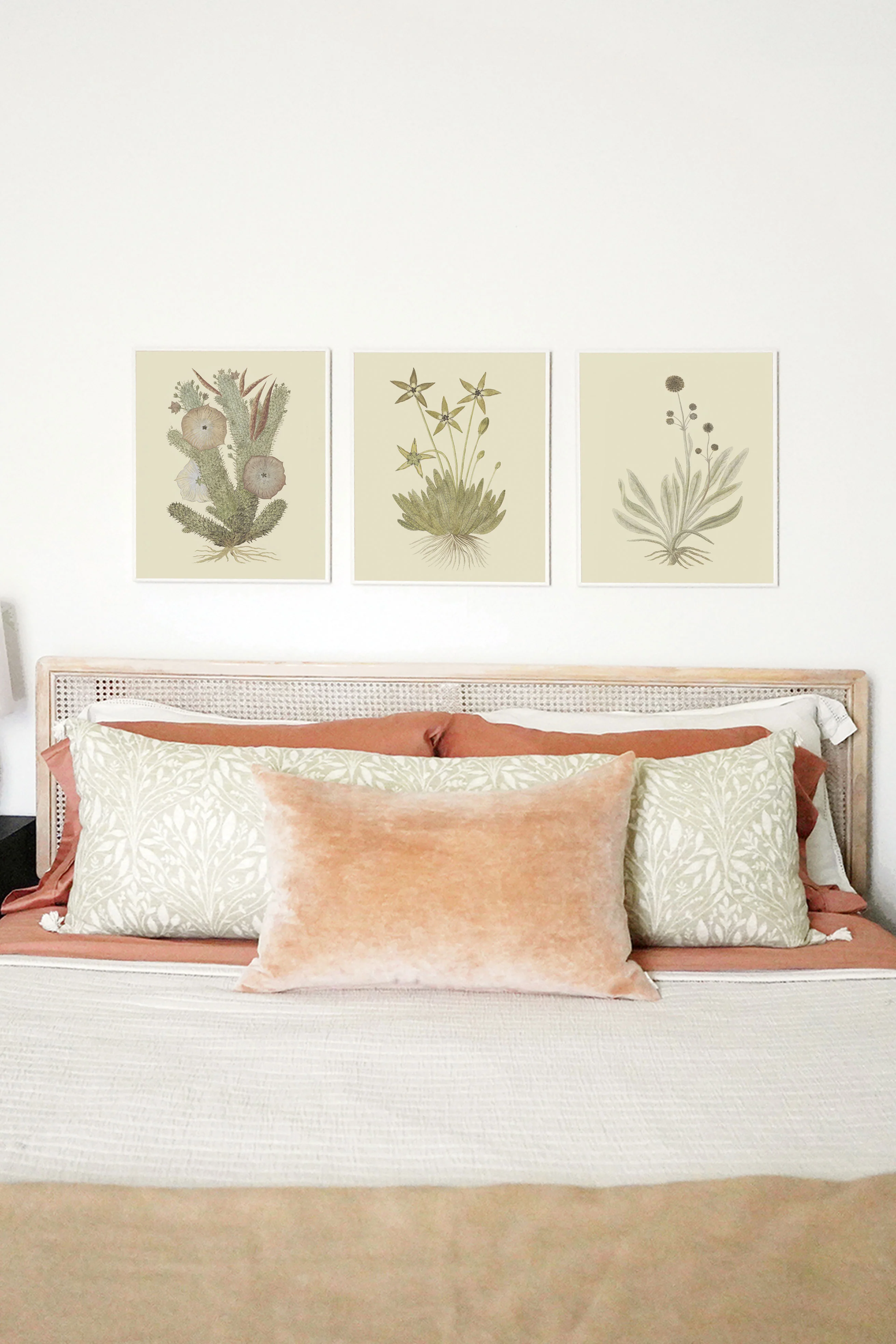 Cactus Flower I - Image 2