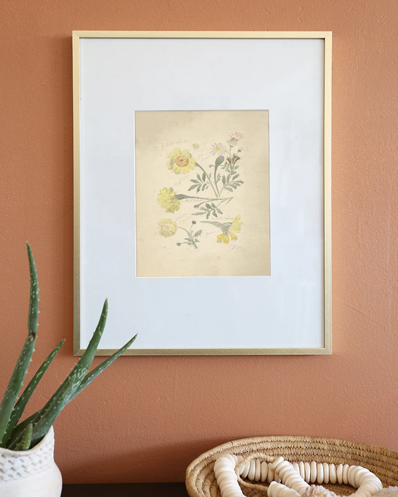Floral Sketch IV - Image 2