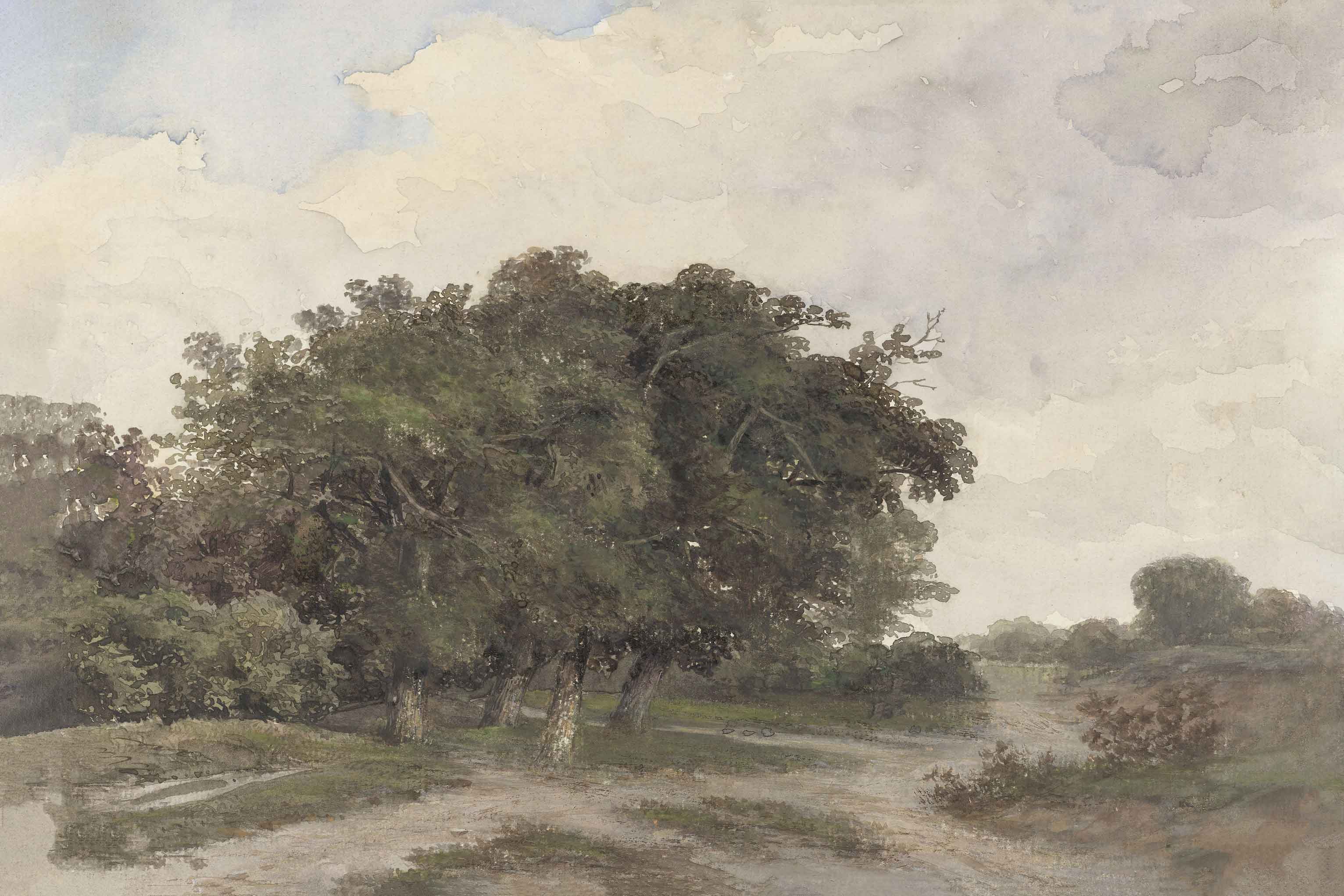 Countryside