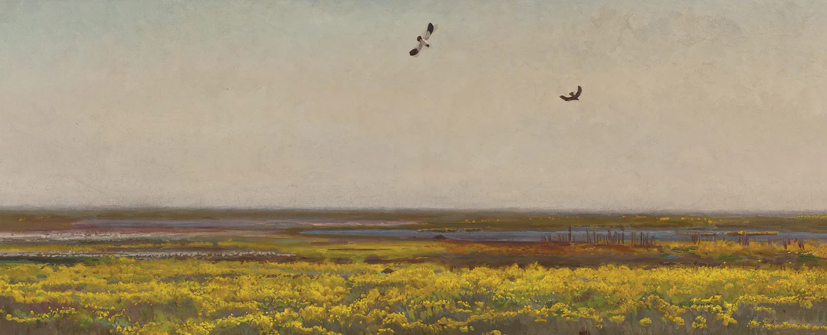 Cowslips I - Image 2