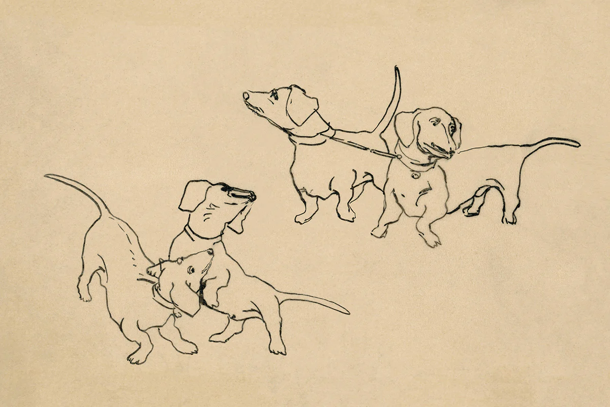 Dachshunds