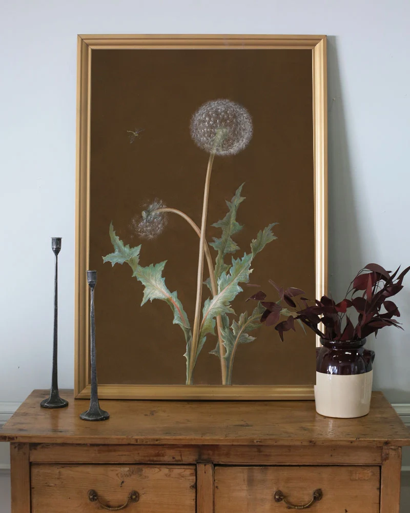 Dandelion - Image 2