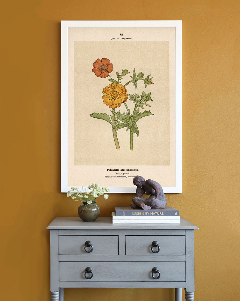 Dutch Botanicals I - Image 2