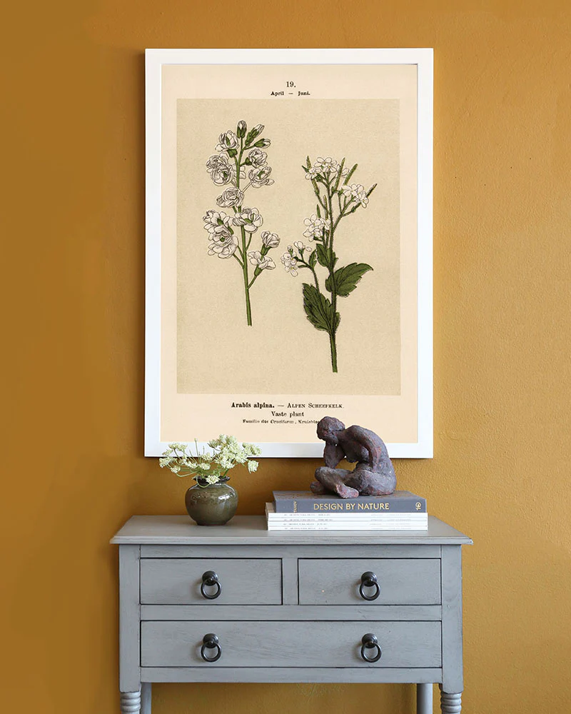 Dutch Botanicals II - Image 2