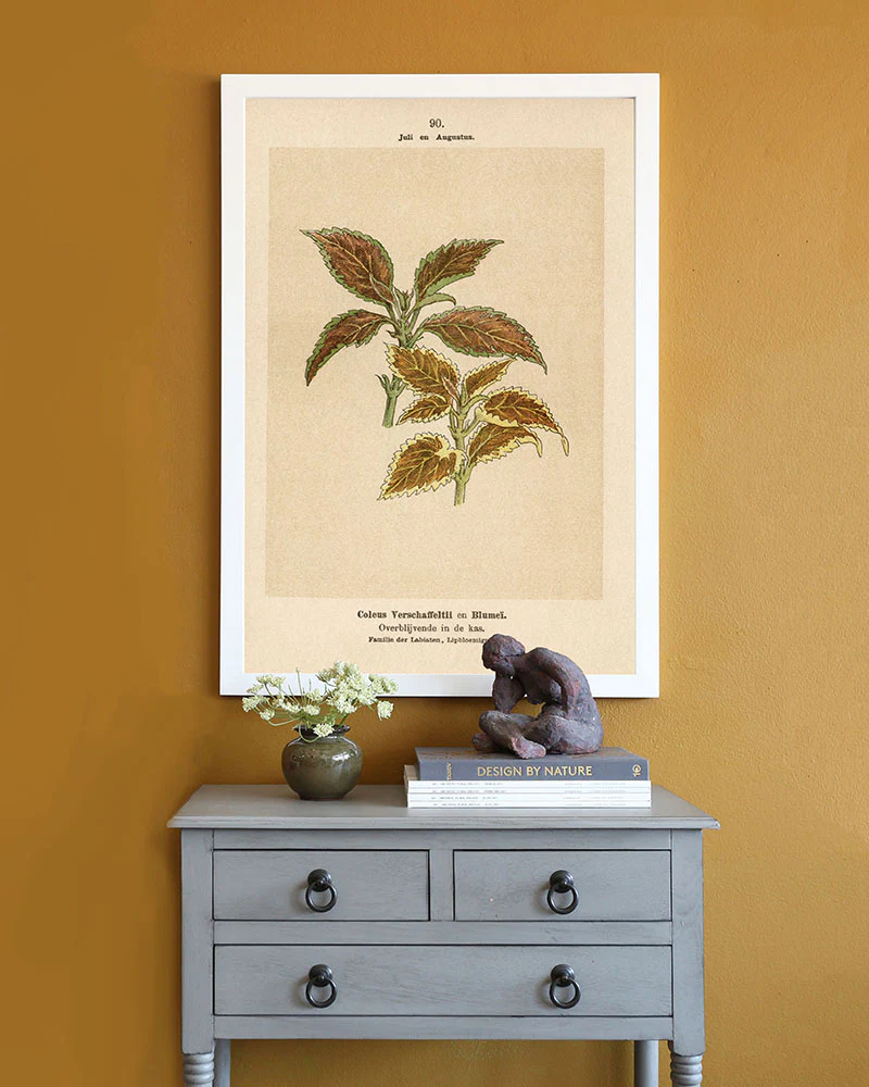 Dutch Botanicals III - Image 2