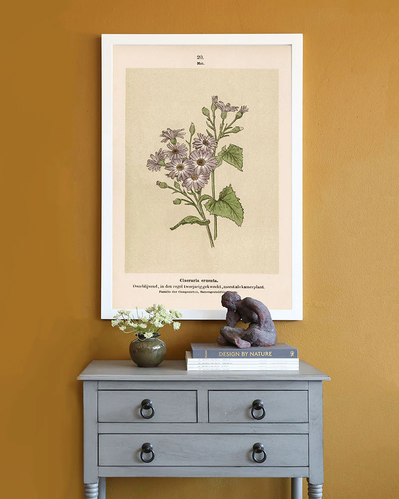 Dutch Botanicals IV - Image 2