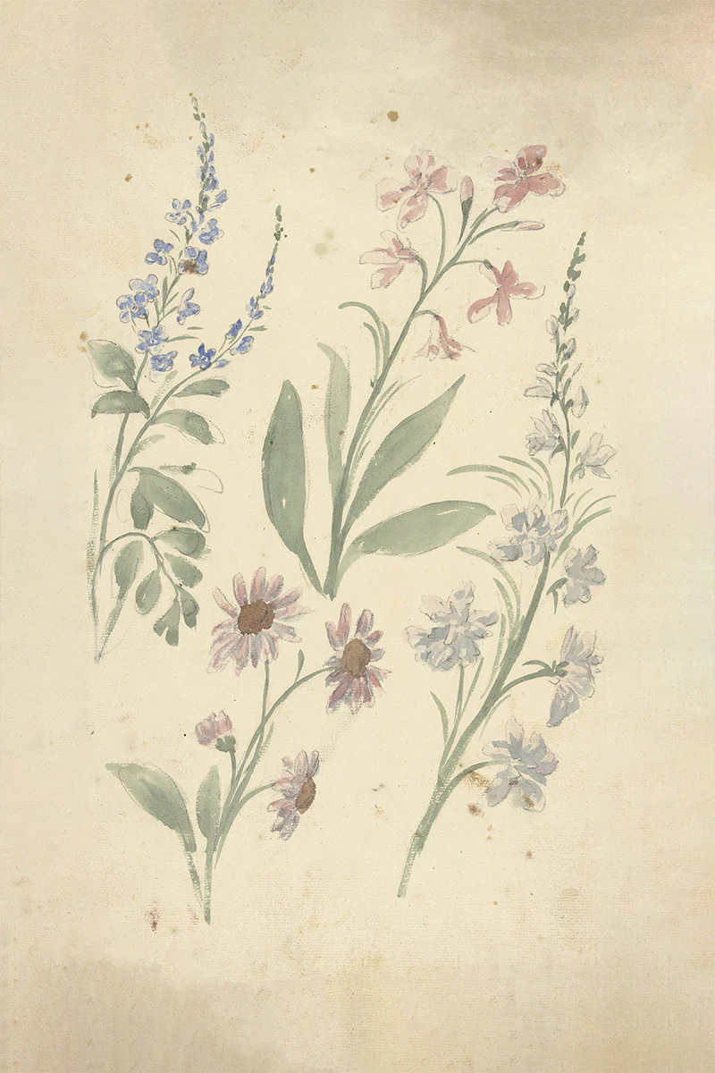 Floral Sketch I