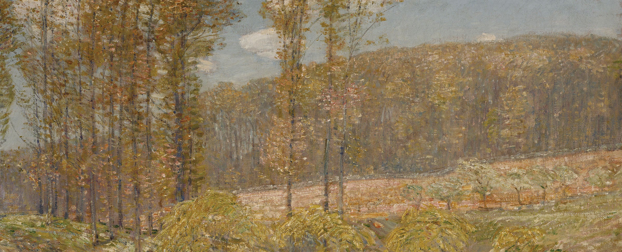 Grove - Image 2