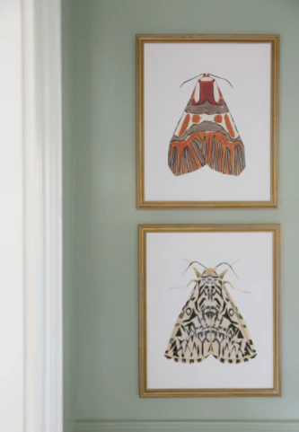 Moth I - Image 2