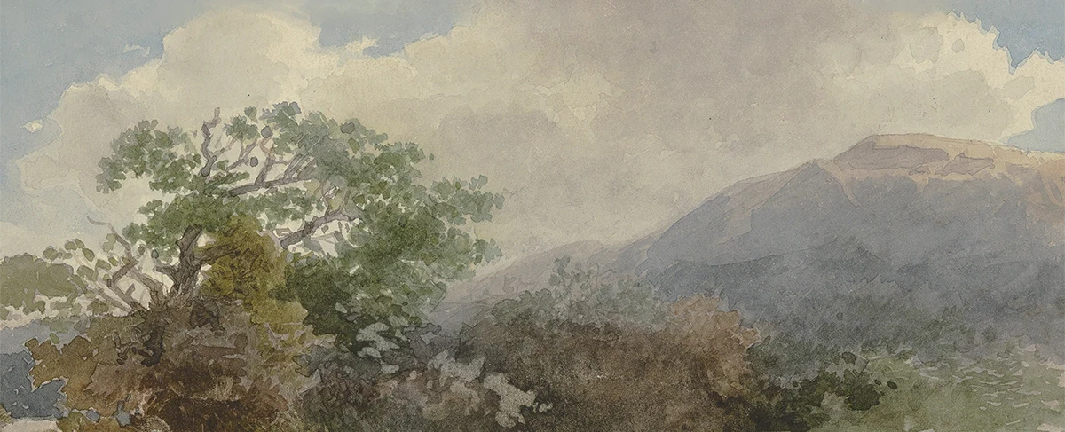 Mountain Grove - Image 2