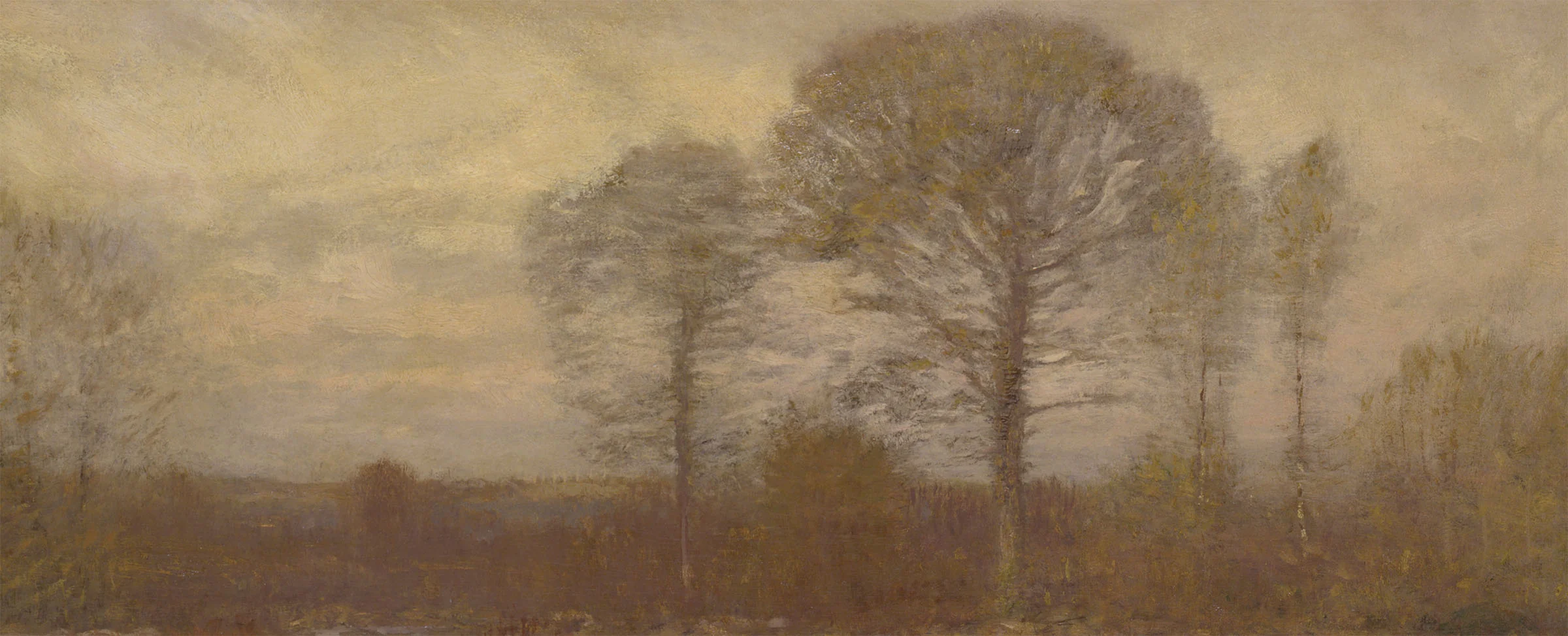 November - Image 2