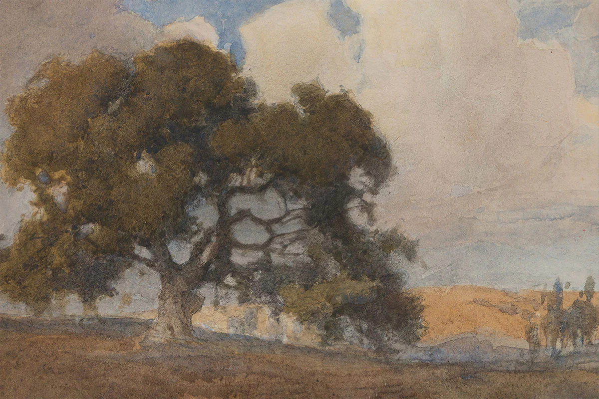 Oak Tree