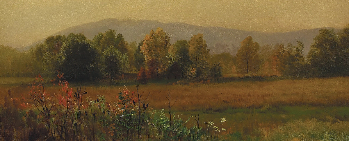 Painted Meadow - Image 2