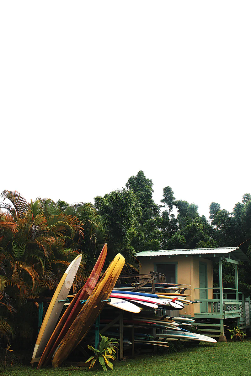 Surfboards