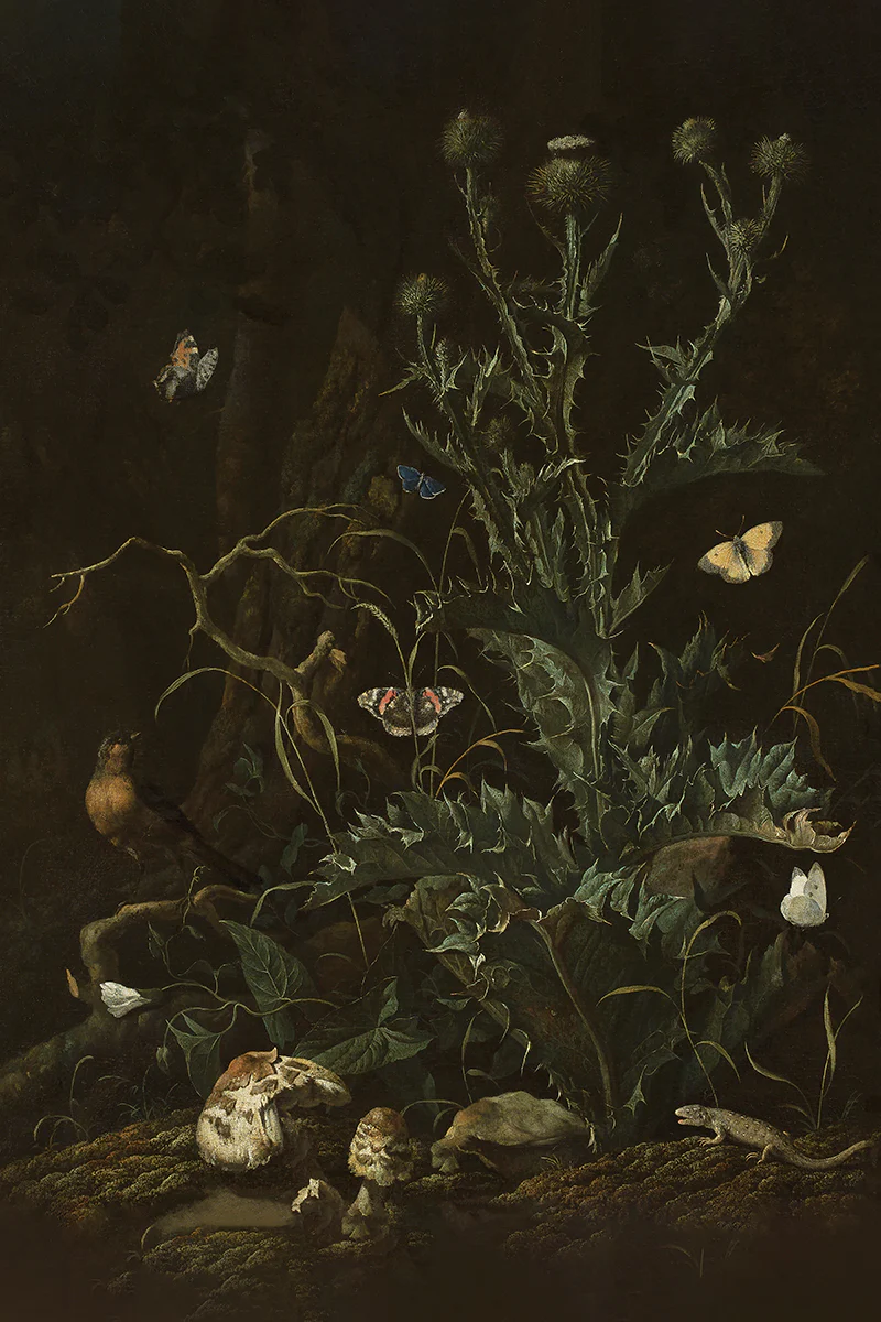 Thistles