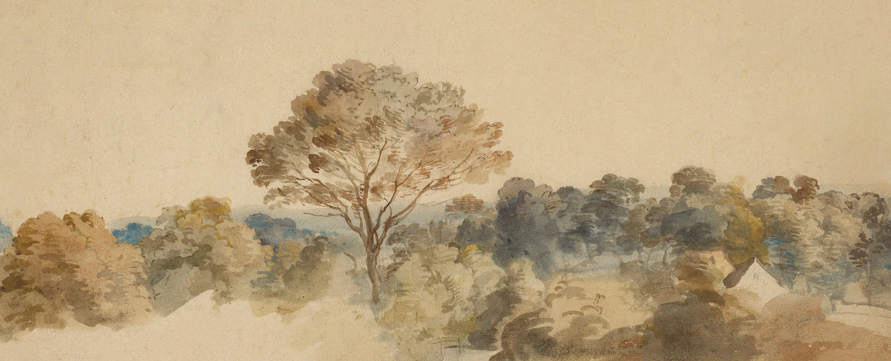 Treeline - Image 2