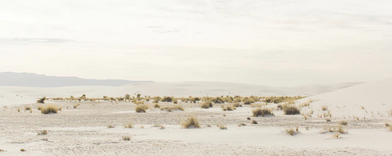 White Sands - Image 4