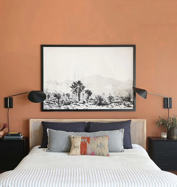 Yucca - Image 2