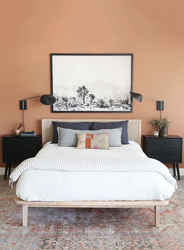 Yucca - Image 3